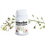 Kokoška Pastuší Capsella Bursa Pastoris Valknut 100+20 kapslí – Hledejceny.cz