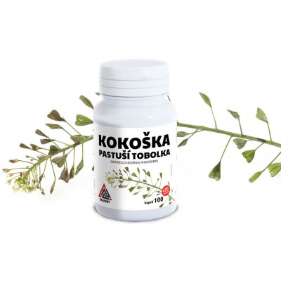 Kokoška Pastuší Capsella Bursa Pastoris Valknut 100+20 kapslí – Hledejceny.cz