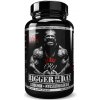 5% Rich Piana Bigger By The Day 90 kapslí