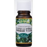 Saloos Vonný olej do aroma lamp Kouzlo vánoc 10 ml – Hledejceny.cz