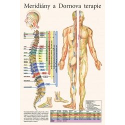 Meridiány a dornova terapie - plakát