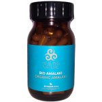 Healing Nature BIO Amalaki A mla 60 kapslí – Hledejceny.cz
