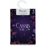 Boles d´olor vonný sáček Velký papírový 12 x 17 x 0,3 cm Cassis Noir – Hledejceny.cz