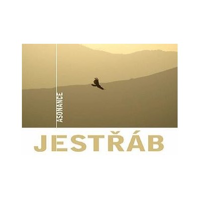 Asonance - Jestřáb CD