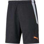 Puma TEAMLIGA TRAINING SHORTS – Zbozi.Blesk.cz