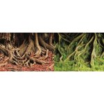 Macenauer fototapeta 1S 60 x 30 cm – Hledejceny.cz