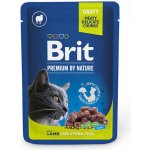 Brit Premium Cat Sterilised Lamb 100 g – Zbozi.Blesk.cz