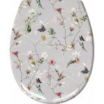 Kleine Wolke Flores 1860148075 – Hledejceny.cz