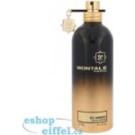 Montale So Amber parfémovaná voda unisex 100 ml – Hledejceny.cz