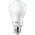 Philips LED žárovka E27, 13W/100W, A60, 3000K 1521lm P169173 – Hledejceny.cz