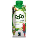 Dr. Antonio Martins BIO Kokosová voda 330 ml – Hledejceny.cz