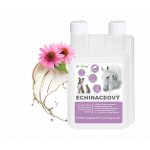 Dromy Echinaceový sirup 1 l – Zboží Dáma