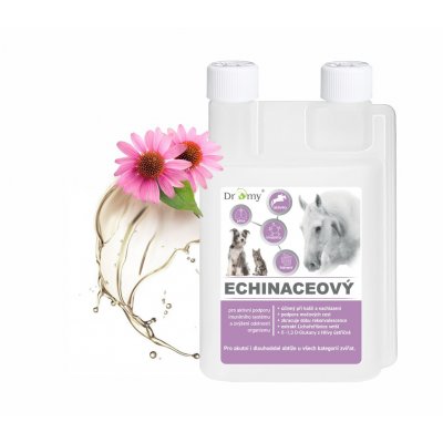 Dromy Echinaceový sirup 1 l – Zboží Dáma