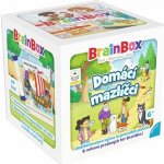 Asmodee Brainbox Domácí mazlíčci - CZ – Hledejceny.cz