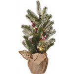 Emos LED vánoční stromek zasněžený 52 cm DCTW04 – Hledejceny.cz