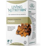 Living Nutrition Fermentovaná čaga 60 kapslí – Hledejceny.cz