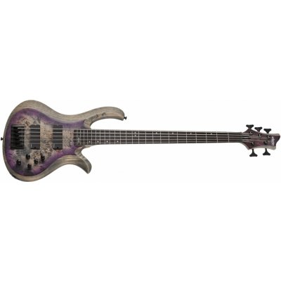 Schecter RIOT-5SARB – Hledejceny.cz