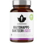 Puhdistamo Lactic Acid Bacteria Boulardii 30 kapslí – Hledejceny.cz