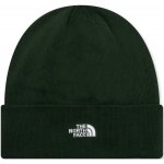 The North Face Norm Beanie Grün nf0a5fw1-i0p – Zboží Mobilmania