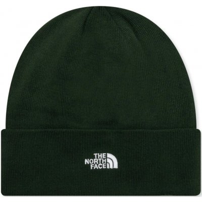 The North Face Norm Beanie Grün nf0a5fw1-i0p – Zboží Mobilmania