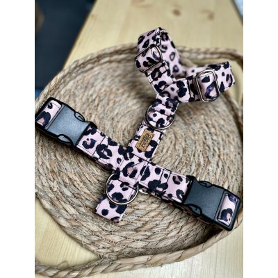 Obojky Andy Postroj – Zboží Dáma