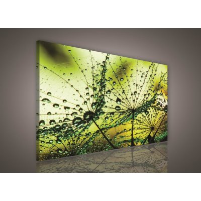 ForWall Obraz na plátně Zelené kapky 100 x 75 cm