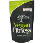 Vegan Fitness Dýňový Protein 1000 g – Hledejceny.cz