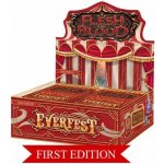 Flesh and Blood TCG Everfest 1st edition Booster Box – Zboží Mobilmania