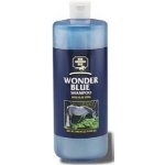 Farnam Wonder Blue shampoo s aloe vera 946 ml – Sleviste.cz