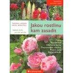 Jakou rostlinu kam zasadit – Zboží Mobilmania