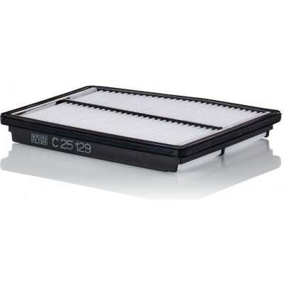Vzduchový filtr MANN-FILTER C 25 129 – Hledejceny.cz