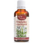 Serafin Průdušky a nachlazení směs z pupenů 50 ml – Hledejceny.cz