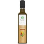 Green idea Lichořeřišnice+brusinka sirup třtinový 250 ml – Hledejceny.cz