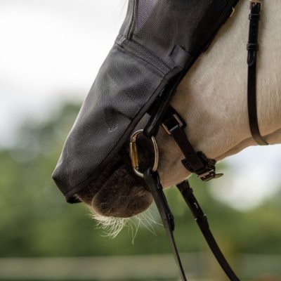 Busse Maska na hlavu jezdecká Riding Plus černá