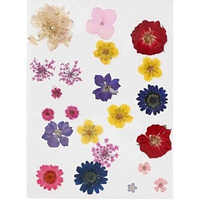 Sušené lisované květiny a listy 19ks - barevný mix