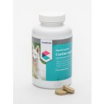 NutriCareVet Senior support Canine 85 tbl – Hledejceny.cz