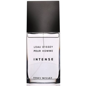 Issey Miyake L´Eau D´Issey Intense toaletní voda pánská 125 ml