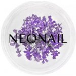 NEONAIL Dried Flowers sušený květ na nehty odstín 06 Violet 1 ks – Hledejceny.cz