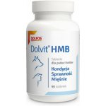 Dolfos Dolvit HMB 90 tab – Hledejceny.cz
