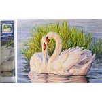 Norimpex Diamantové malování Labutě v rákosí 30 x 40 cm – Hledejceny.cz