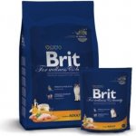 Brit cat adult Premium kuře 0,3 kg – Hledejceny.cz