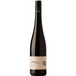 Johann Topf Riesling Kamptal DAC 2024 12,5% 0,75 l (holá láhev) – Hledejceny.cz