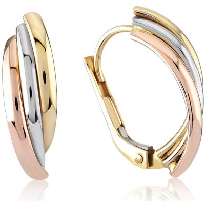 Lillian Vassago patentové náušnice z kombinovaného zlata LLV06-GER101 – Zboží Mobilmania