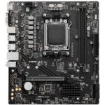 MSI PRO A620M-B – Zboží Živě MSI PRO A620M-B – Zboží Živě