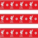 FOREVER COLLECTIBLES Samolepicí bordura FC LIVERPOOL 15cm x 5m – Zboží Dáma