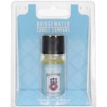 Bridgewater Candle Company Welcome Home Vonný olej do aromalampy 10 ml – Hledejceny.cz