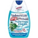 Vademecum Menthol Fresh 2v1 75 ml