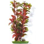 Hagen rostlina Red Ludwigia 20 cm – Hledejceny.cz