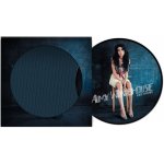 Winehouse Amy - Back To Black Limited Edition Picture Disc Vinyl LP – Hledejceny.cz