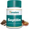 Doplněk stravy Himalaya Septilin 100 tablet